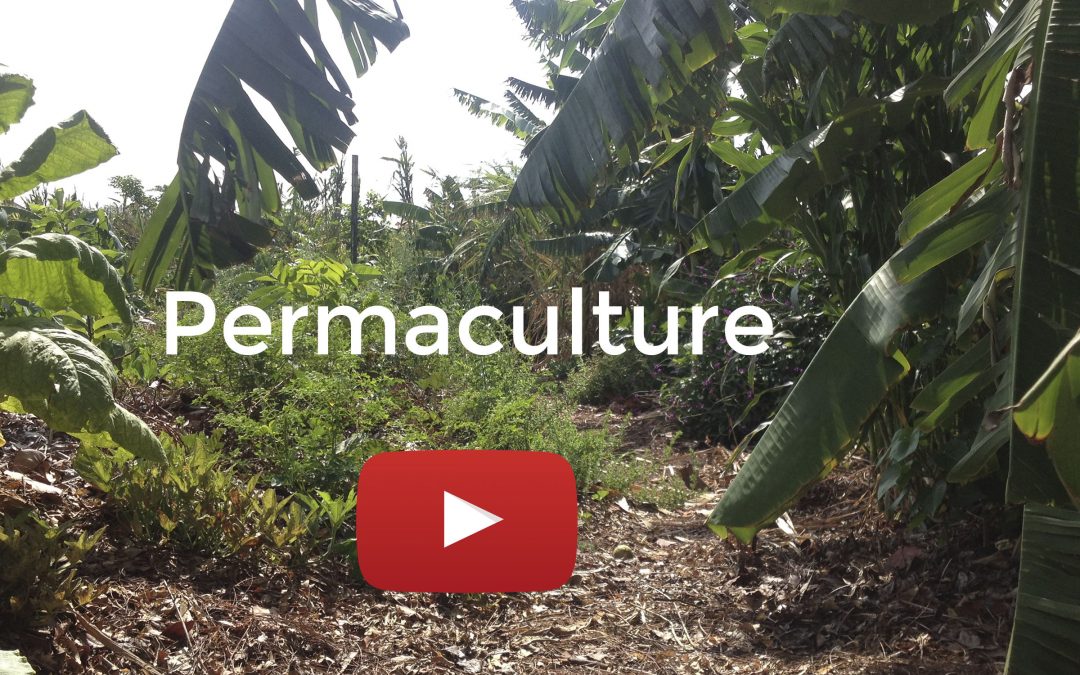 Integrating Permaculture Principles